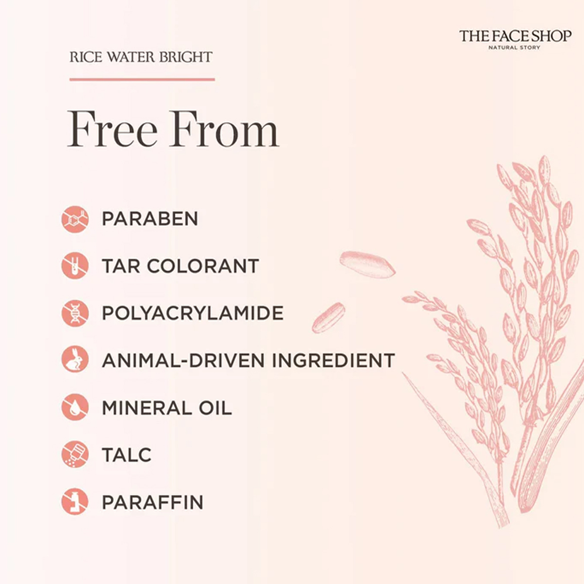 THE FACE SHOP Nettoyant visage - Luxury Skincare Shop avis et prix